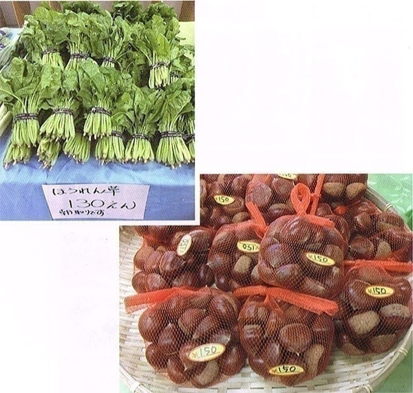 採れたて野菜などを販売