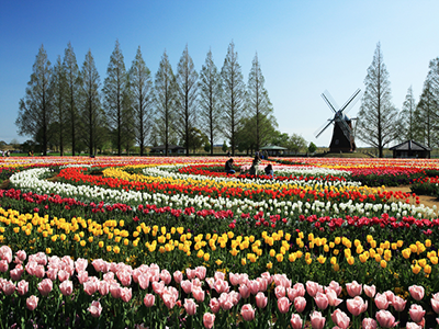 あけぼの山農業公園