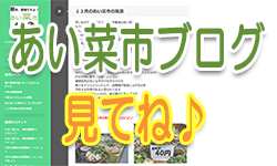 あい菜市ブログ、見てね♪