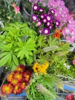 あい菜市の様子