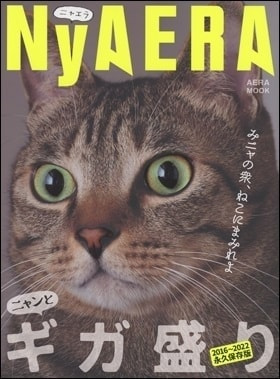 NyAERA(ニャエラ)ギガ盛り