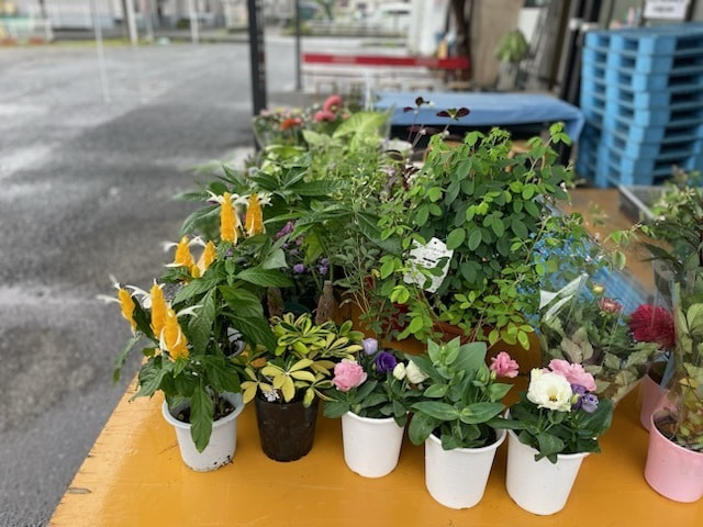 あい菜市の様子