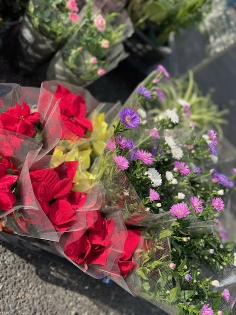 あい菜市の様子