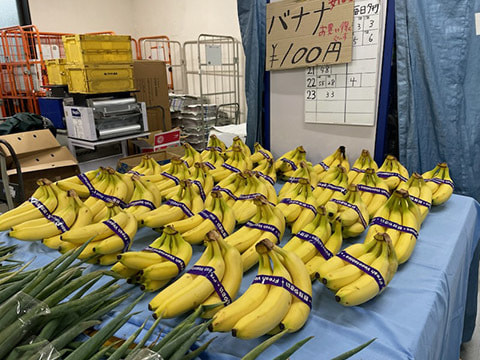 あい菜市の様子