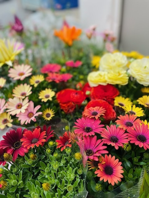 あい菜市の様子