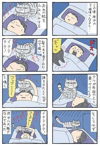 コロコロ毛玉日記試し読み４