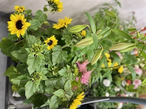 あい菜市の様子